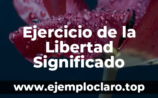El Significado de Libertad Corto 5 Ejercicio de la Libertad Significado