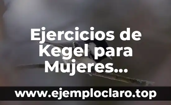 Ejercicios de Kegel para Mujeres Beneficios: Fortalece tus Músculos Pélvicos
