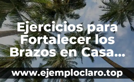 Remo con Mancuernas a Una Mano: Entrena tus Hombros y Espalda de Forma Efectiva 6 Ejercicios para Fortalecer los Brazos en Casa para Mujeres – Entrena sin Salir