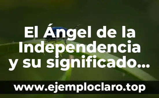 Borde Libre de la Una Significado: Explorando un Concepto Filosófico 8 El Ángel de la Independencia y su significado filosófico