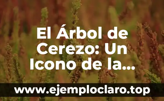 Asaltacunas: Un concepto histórico profundo 6 El Árbol de Cerezo: Un Icono de la Naturaleza y su Profundo Significado