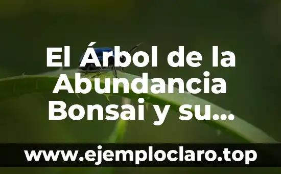 Cómo hacer un bonsai de buganvilias 7 El Árbol de la Abundancia Bonsai y su Profundo Significado