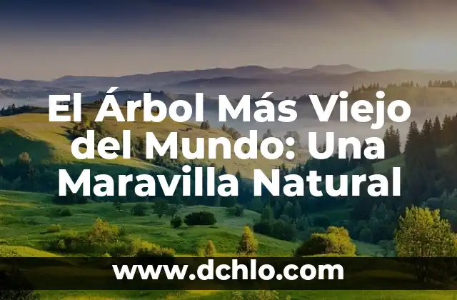 Cómo Conectar TDT a un Televisor Viejo sin Decodificador 8 El Árbol Más Viejo del Mundo: Una Maravilla Natural