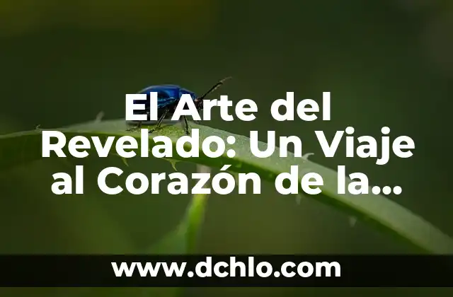 Museo de Arte Moderno Significado 4 El Arte del Revelado: Un Viaje al Corazón de la Creación