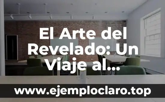 El Arte del Revelado: Un Viaje al Corazón de la Creación