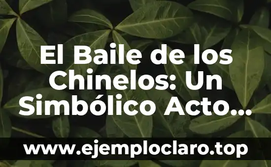 Significado en Medio de América: Un Viaje Cultural 6 El Baile de los Chinelos: Un Simbólico Acto Cultural