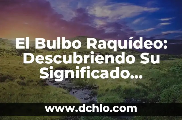 Ente en Gramática: Descubre su Significado y Función en las Oraciones 5 El Bulbo Raquídeo: Descubriendo Su Significado Etimológico
