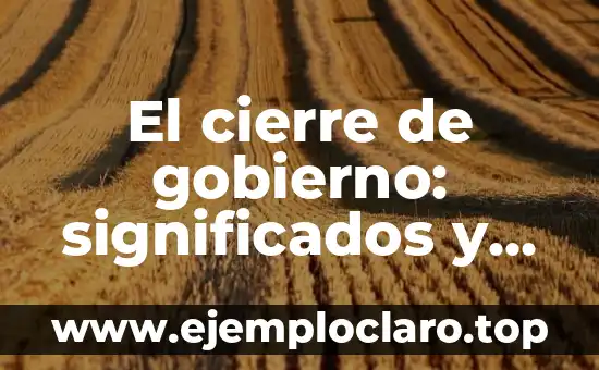 El cierre de gobierno: significados y consecuencias