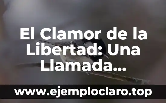El Clamor de la Libertad: Una Llamada Histórica