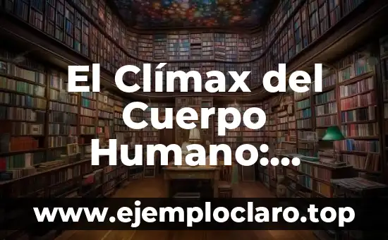 Cita sobre el significado de ser sacerdote 3 El Clímax del Cuerpo Humano: Entendiendo su Significado