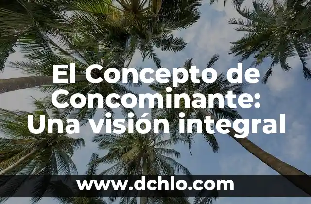 El significado de adicto: Una visión más allá del término 4 El Concepto de Concominante: Una visión integral