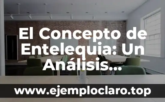 Borde Libre de la Una Significado: Explorando un Concepto Filosófico 3 El Concepto de Entelequia: Un Análisis Filosófico