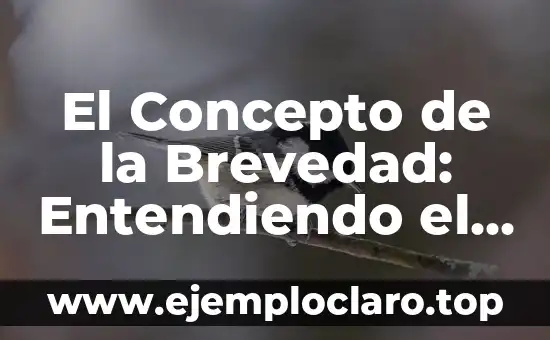 El Concepto de la Brevedad: Entendiendo el Significado de Corto