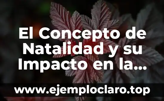 La Impenetrabilidad: Un Concepto Fascinante 4 El Concepto de Natalidad y su Impacto en la Sociedad