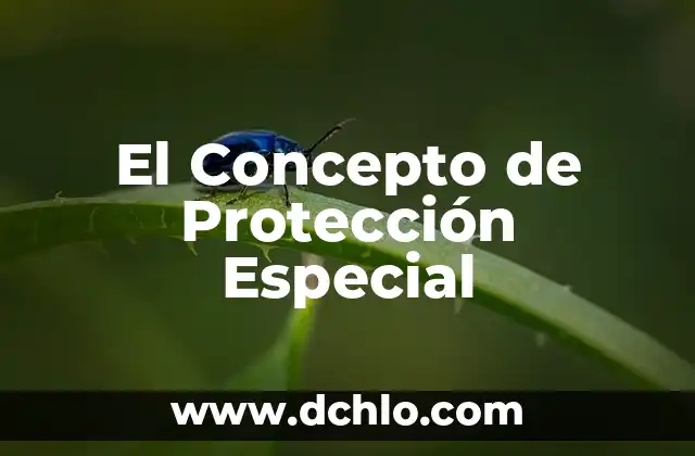 Inmentensión: Un Concepto de Inmensidad y Tensión 3 El Concepto de Protección Especial