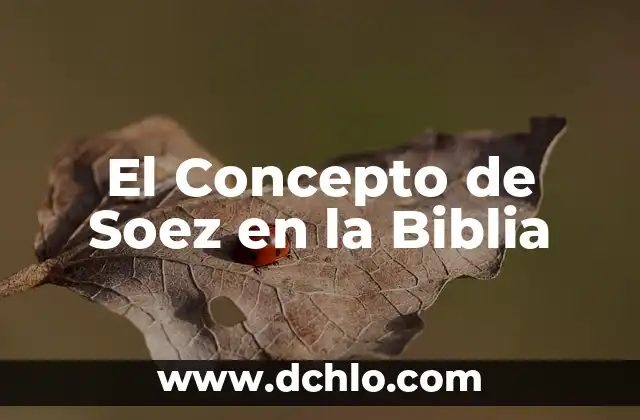 Agresividad: Un Concepto Universal 7 El Concepto de Soez en la Biblia