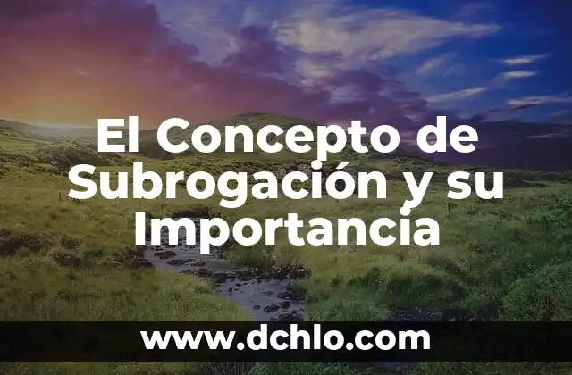 Agresividad: Un Concepto Universal 3 El Concepto de Subrogación y su Importancia