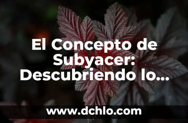 Descubriendo el Significado del Nombre Iker 5 El Concepto de Subyacer: Descubriendo lo que Está Por Debajo