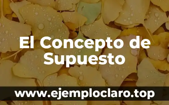 El Concepto de Supuesto