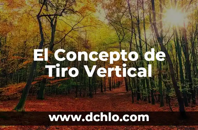 Como hacer dardos para tiro al blanco caseros 3 El Concepto de Tiro Vertical