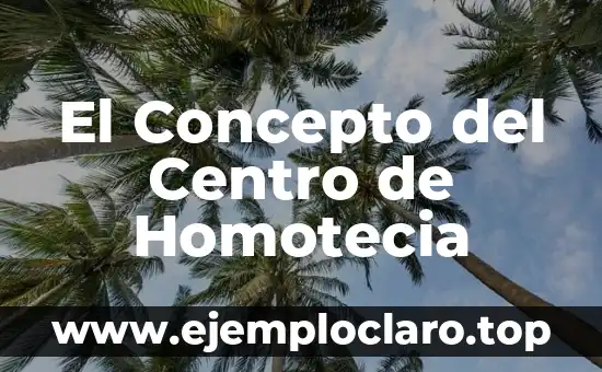 El Concepto del Centro de Homotecia