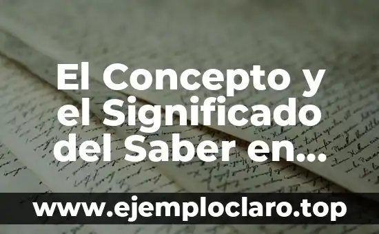 El Concepto y el Significado del Saber en Formatos Digitales
