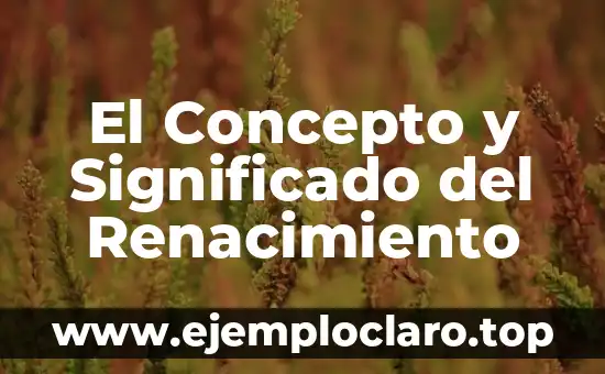 Concepto y Significado de Filosofía PDF 7 El Concepto y Significado del Renacimiento