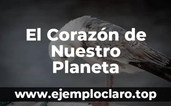 El Corazón de Nuestro Planeta