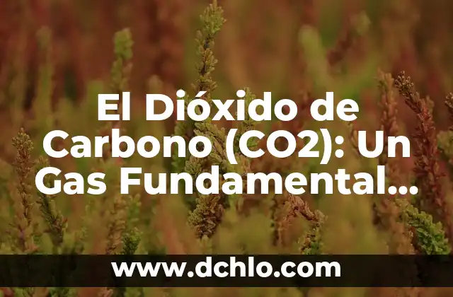 Tatuajes de Máscaras de Gas: Significado y Simbolismo 7 El Dióxido de Carbono (CO2): Un Gas Fundamental en Nuestra Atmosfera