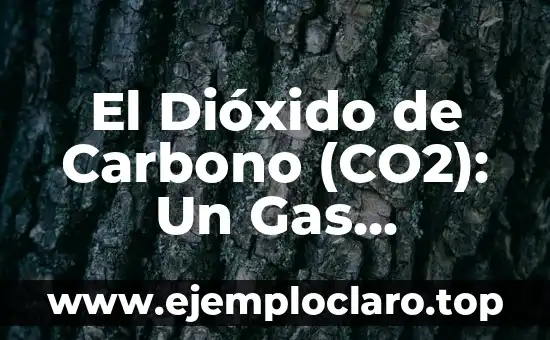 El Dióxido de Carbono (CO2): Un Gas Fundamental en Nuestra Atmosfera