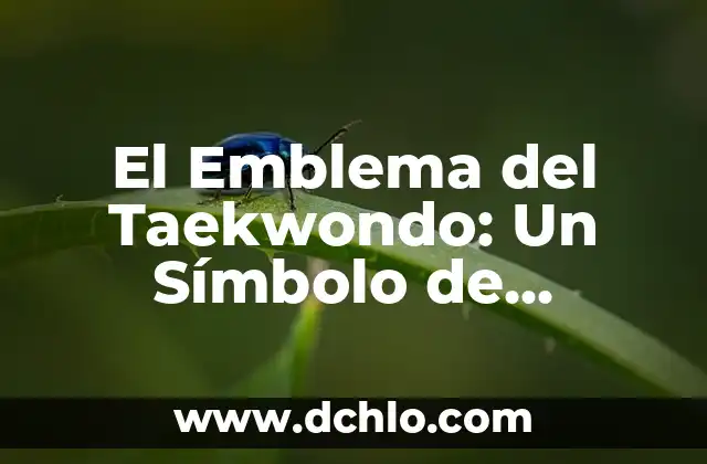Moño de luto Roko: Un símbolo de respeto y tradición 6 El Emblema del Taekwondo: Un Símbolo de Tradición y Valores