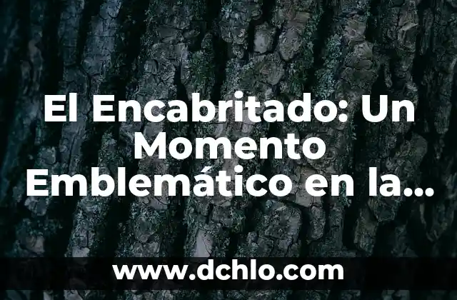 El Icono Emblemático de Chiapas y su Profundo Significado 8 El Encabritado: Un Momento Emblemático en la Tauromaquia