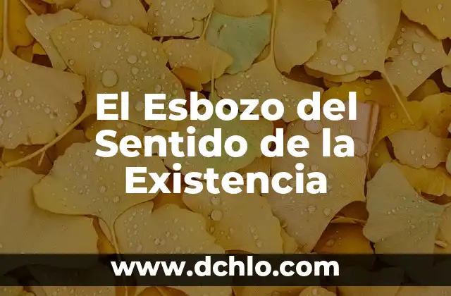 Esbozó significado de la palabra: El arte de definir 5 El Esbozo del Sentido de la Existencia
