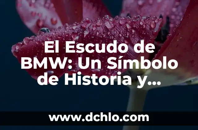 El Significado del Escudo de Brunei: Un Viaje a su Historia y Simbolismo 6 El Escudo de BMW: Un Símbolo de Historia y Diseño