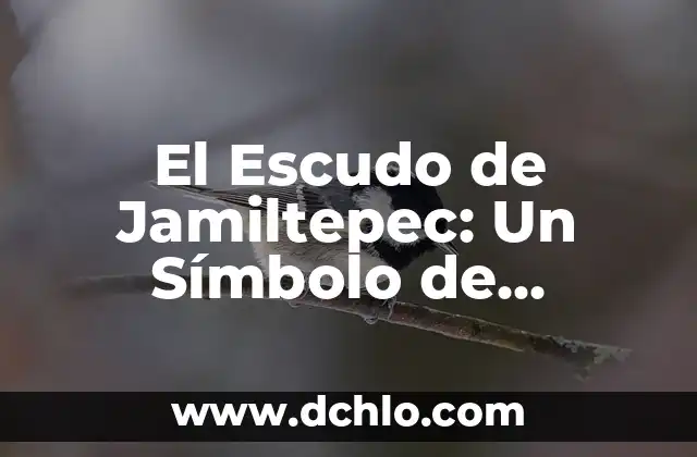 Significado del Escudo de Jalostotitlán 6 El Escudo de Jamiltepec: Un Símbolo de Identidad y Tradición