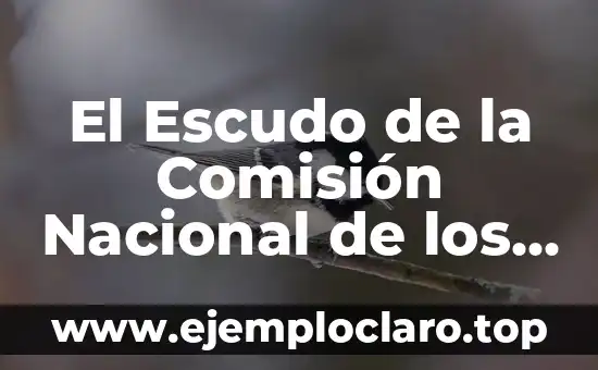 El Escudo de la Comisión Nacional de los Derechos Humanos