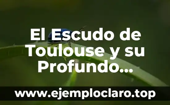 El Escudo de Toulouse y su Profundo Significado Histórico