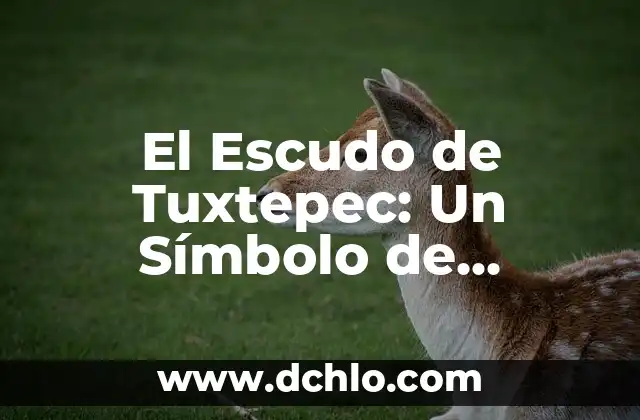 El Escudo de Teziutlán: Un Viaje a Través de Su Historia y Simbolismo 7 El Escudo de Tuxtepec: Un Símbolo de Historia y Cultura