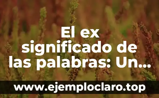 El ex significado de las palabras: Un viaje al pasado del lenguaje
