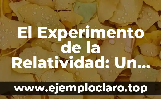 El Experimento de la Relatividad: Un Viaje al Corazón de la Física Moderna