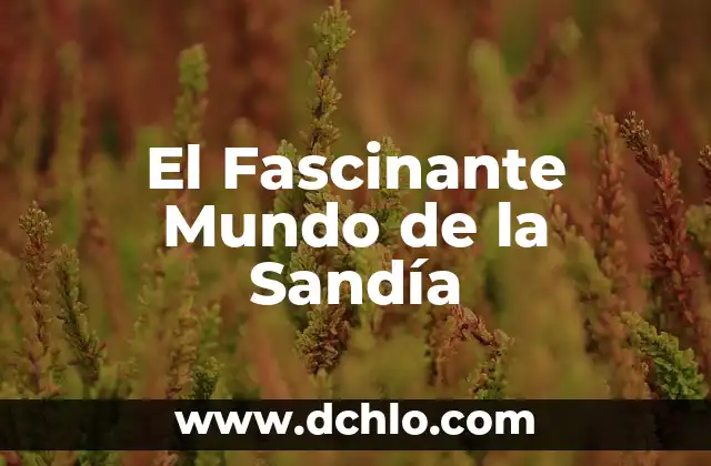 Emoticonos y Gafas de Sol: Un Mundo de Expresión Digital 4 El Fascinante Mundo de la Sandía