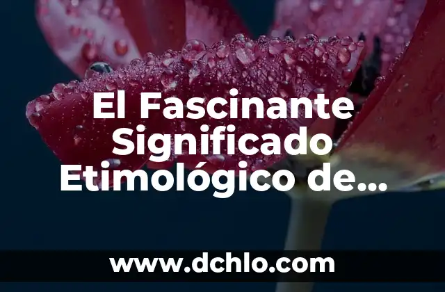 Significado Etimológico de Lógica: Un Viaje a sus Raíces Lingüísticas 3 El Fascinante Significado Etimológico de ‘Cola Colo’: Un Viaje a Través del Tiempo