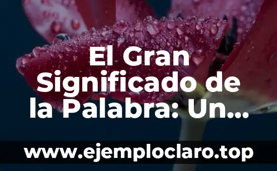 El Gran Significado de la Palabra: Un Viaje al Corazón del Lenguaje