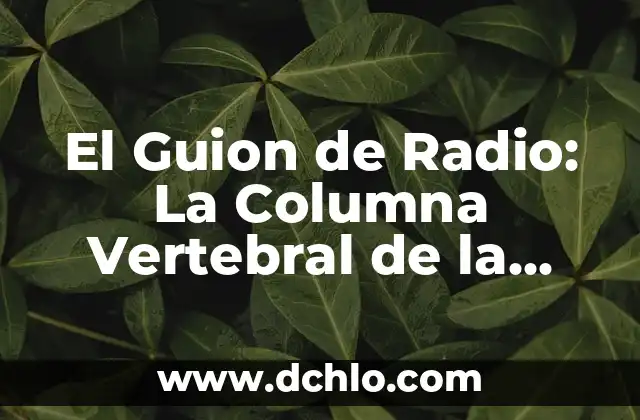 El significado de la radio 7 El Guion de Radio: La Columna Vertebral de la Narrativa Sonora