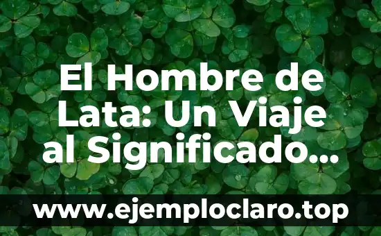 El Hombre de Lata: Un Viaje al Significado en la Obra de Spinetta