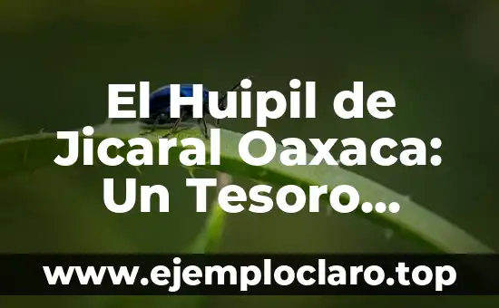 El Huipil de Jicaral Oaxaca: Un Tesoro Cultural