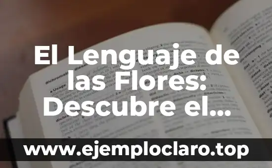 El Lenguaje de las Flores: Descubre el Significado Detrás de Cada Flor