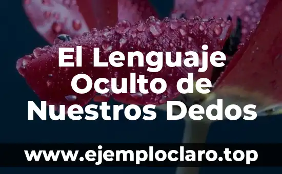 El Lenguaje Oculto de Nuestros Dedos