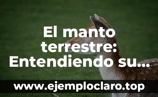 El manto terrestre: Entendiendo su significado y funcionalidad
