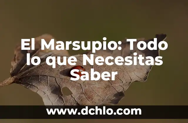 Significado de Spite: Todo lo que debes saber 7 El Marsupio: Todo lo que Necesitas Saber